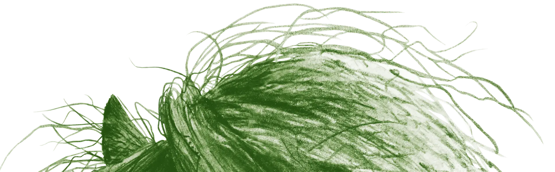 Ein Ohr und die wilde Mähne des grünen Ponys ist hier als Illustrationsausschnitt zu sehen