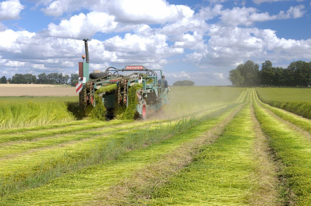 ein Landwirt sitzt auf einem Mähgerät und erntet Flachs, die noch grünen Flachsstängel werden dabei in Bahnen auf dem Feld verteilt, dabei entsteht etwas Staub, links des Flachsfeldes steht Getreide und am Ende des Flachsackers sind Bäume und blauer Horizont zu sehen